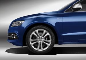 Audi SQ5 TDI 2013 года  (WW)